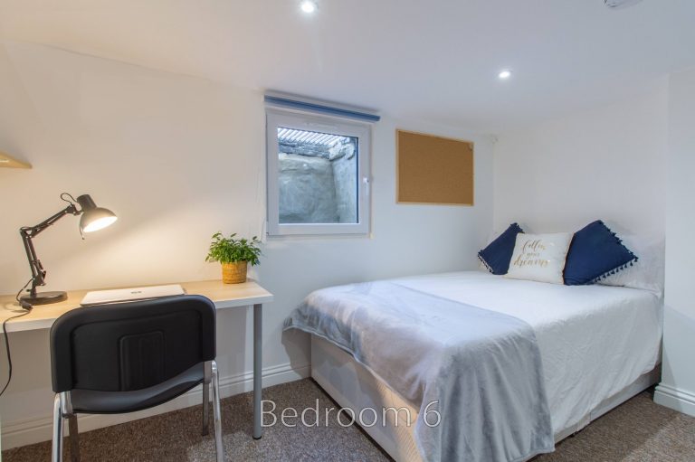 Bedroom 6 in the basement at 24 Granville Street, featuring ample storage and downlights.